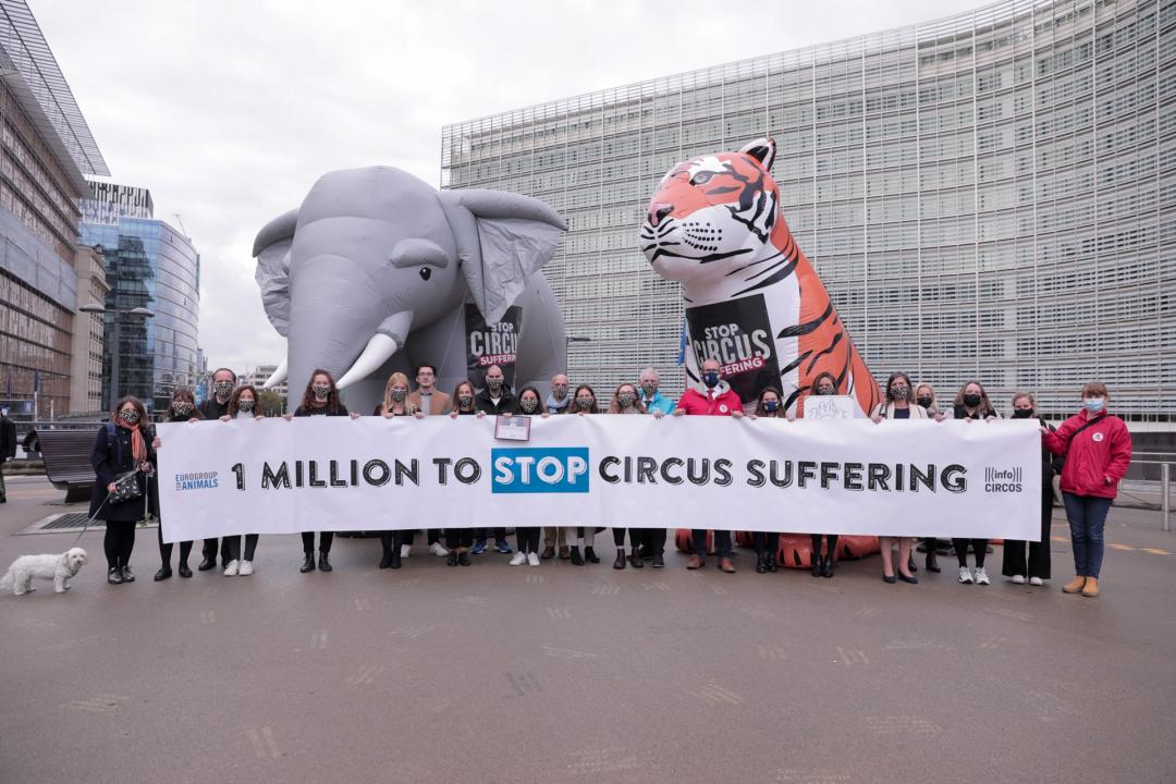 Eine Millon Stimmen kamen bei der Kampagne „EU Stop Circus Suffering“ für ein Verbot der Wildtierhaltung in Zirkussen zusammen.