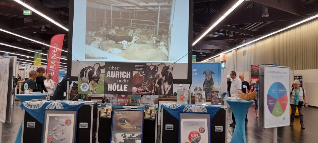 Landestierschutzverbände Niedersachsen und Bayern informieren über Transporte landwirtschaftlicher Tiere