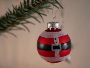 Tiere sind keine Weihnachtsgeschenke - Verantwortung endet nicht unterm Baum