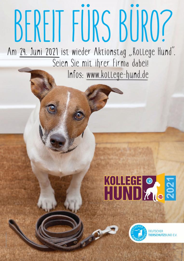 Der Deutsche Tierschutzbund ruft zum Aktionstag „Kollege Hund“ auf.