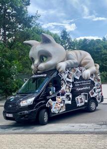 Catmobil startet in Deutschland – Deutscher Tierschutzbund macht Katzenleid sichtbar