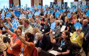 Mitgliederversammlung des Deutschen Tierschutzbundes:     „Jetzt Tierschutz stärken. Versprechen an Tierheime und Tierschutz umsetzen“