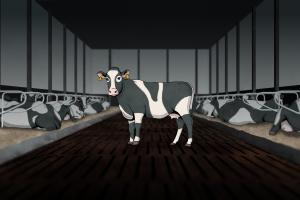 Zum Weltvegantag (1.11.):  Deutscher Tierschutzbund ruft zu mehr Mitgefühl auf